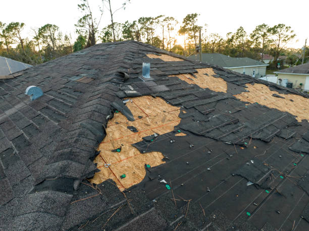 Trusted Blasdell, NY Roofing Services Experts