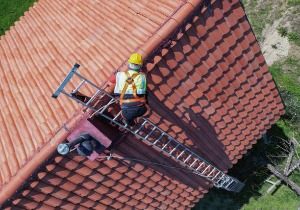 Best Roof Maintenance and Cleaning  in Blasdell, NY