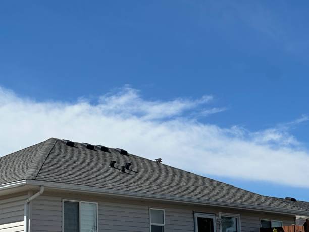 Trusted Blasdell, NY Roofing Services Experts